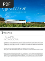 Apresentação Adega Mãe