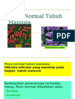Flora Normal Tubuh Manusia.ppt