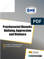 21-hazard-bullying- way 2012