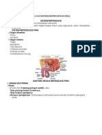 Anatomi Dan Fisiologi Sistem Reproduksi Pria