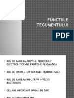 Functiile Tegumentului