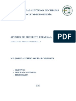 Apuntes Proy Terminal 2013.pdf