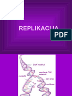 2.replikacija DNK