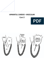 7.Aparatul Cardio-Vascular Curs 2