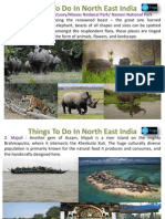 Things To Do in North East India