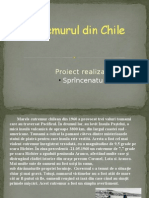 Cutremurul Din Chile