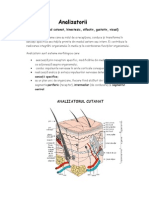 Analizatorii (Biologie)