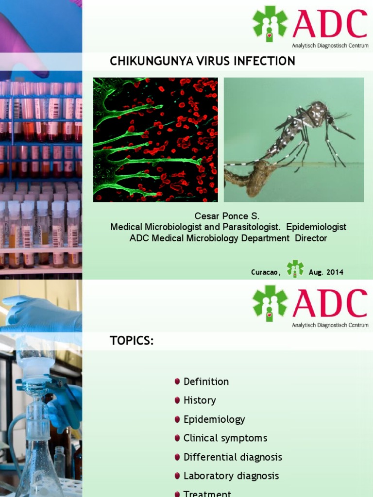 Chikungunya Virus Infection | PDF | Immunology | Health Sciences