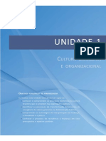 01 - CMO - Cultura e Brasileira e Organizacional