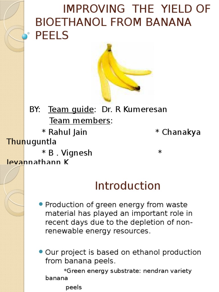 Enhancing Bioethanol Yield from Banana Peels | PDF | Starch | Ethanol