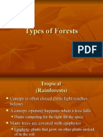 Types of Forests