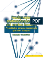 Fundamentos Anátomofuncionales Del Cerebro Humano. Propedéutica para Una Neurociencia Aplicada e Integrada