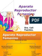 APARATO FEMENINO