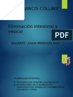 ELIMINACION INTESTINAL Y VESICAL.pptx