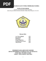 Download MENELISIK BAHAYA SAUS TOMAT BERBAHAN KIMIA by Leobardus Rexa Duano SN252940929 doc pdf