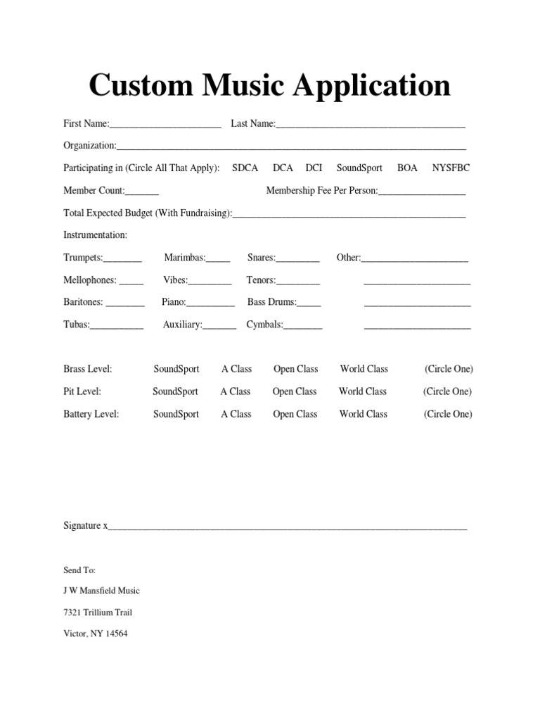 Custom Music Application | PDF | Career & Growth | Business