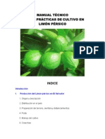 Manuallimonpersico PDF