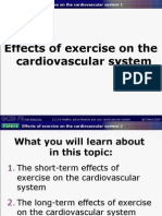 2.2 - Powerpoint D - Effects of Exercise On The Cardiovascular System