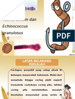 Taenia Solium Dan Echinococcus Granulosus