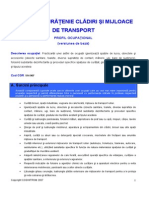 Standard Ocupational Agent Curatenie PDF
