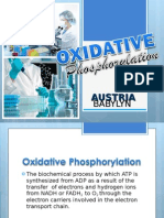 Oxidative Phosphorylation