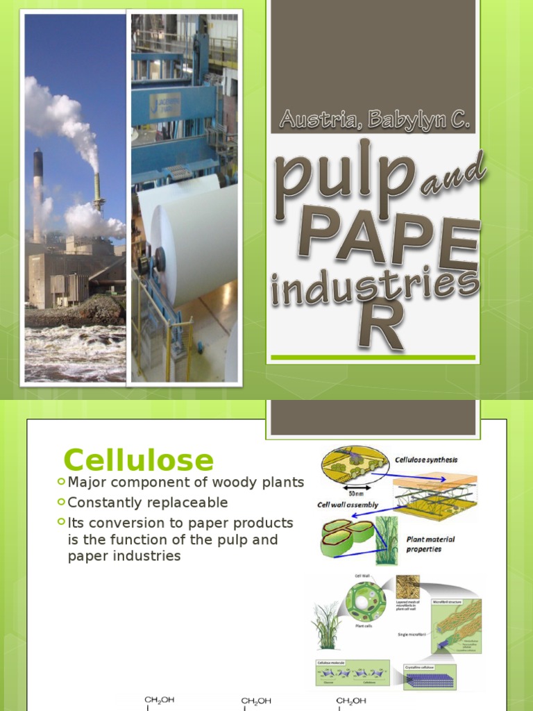 Pulp and Paper Industries | PDF | Pulp (Paper) | Paper