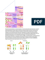 Abnormal Placentation in Preeclampsia