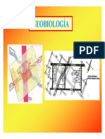 líneashartmannycurryGEOBIOLOGIA-prevencion