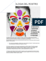 Reflexología en El Rostro PDF