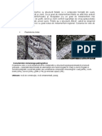 Prezentare roci.pdf