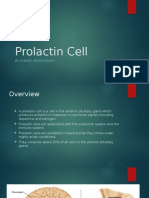 Prolactin Cell: by Ahmad Abughazleh