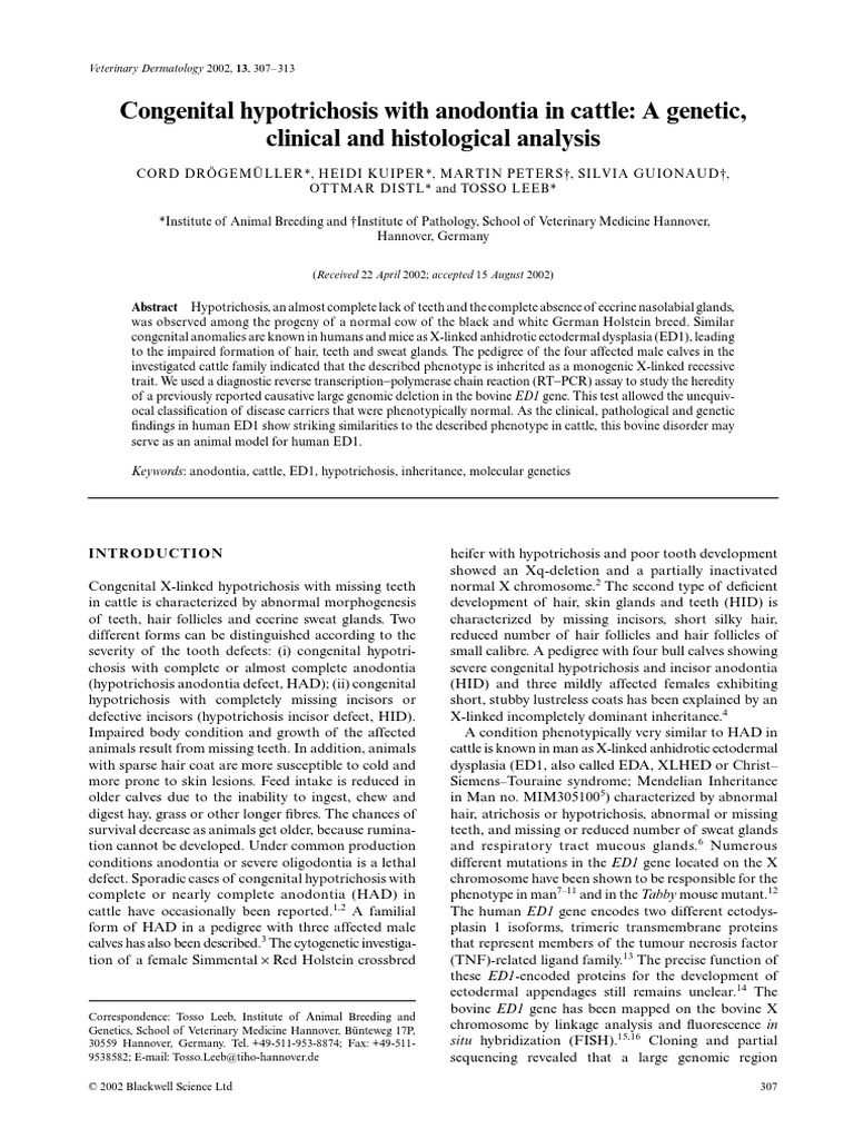 Congenital Hypotrichosis With Anodontia in Cattle- A Genetic, Clinical ...