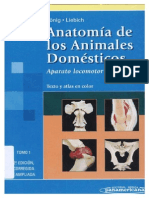 ANATOMIA DE ANIMALES DOMESTICOS koning TOMO 1