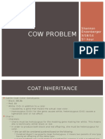Cow Problem