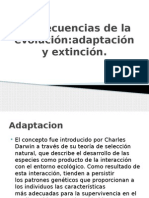 Consecuencias de La Evolución