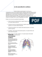 Focos auscultación cardiaca (4 zonas