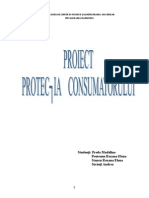 Proiect Protectia Consumatorului