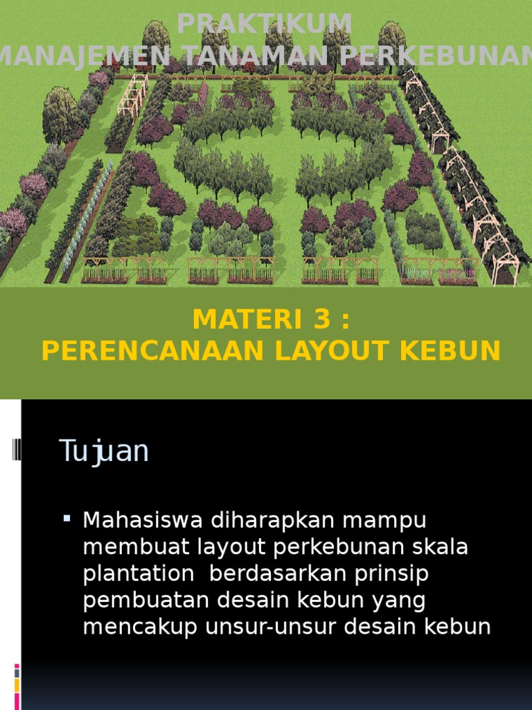 Layout Perkebunan dan Desain Kebun | PDF