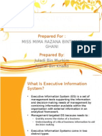 42078851 Executive Information System