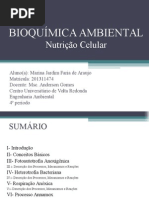 BIOQUÍMICA AMBIENTAL- Marina Jardim FINAL.ppt