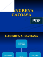 Gangrena Gazoasa