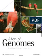 A Flock of Genomes