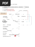 Direito Constitucional- IMP