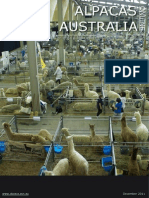 Alpaca Australiana PDF