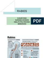 Rabies: S.Hudiyono Nursing Division Health Politechnic Semarang