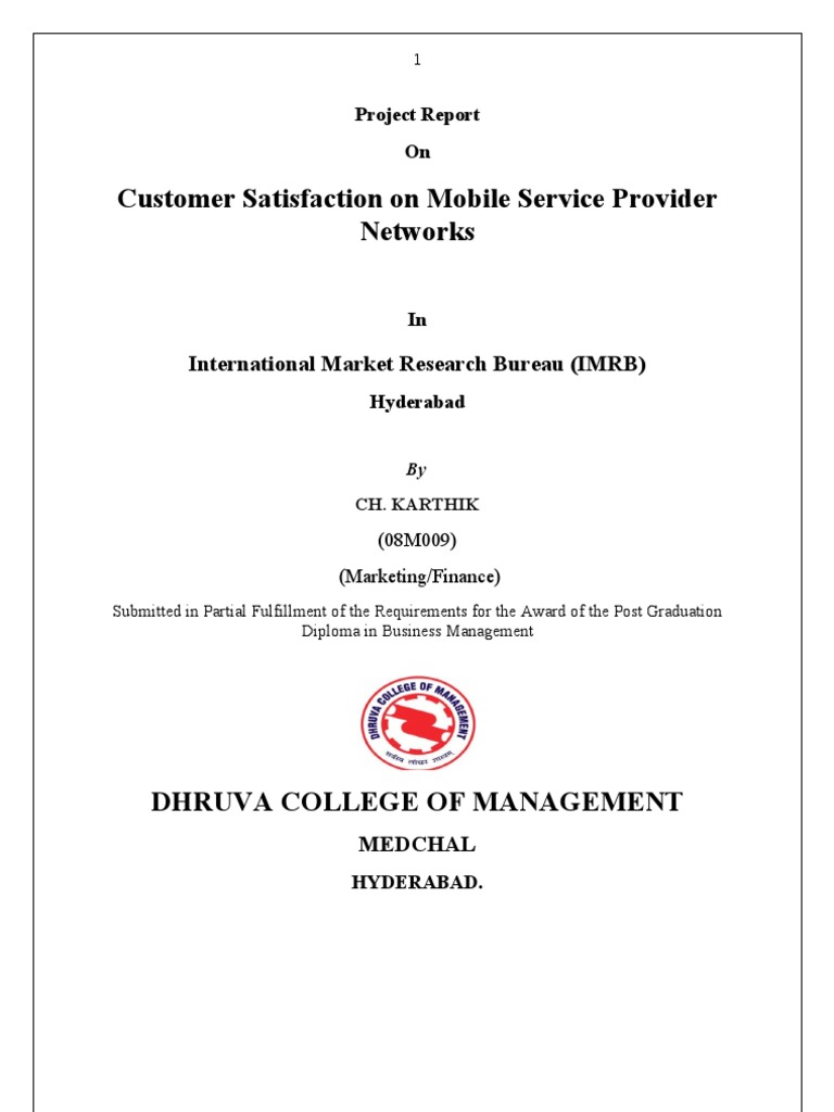 Customer satisfaction dissertation pdf