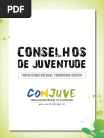 Manual Conselhos Juventude PDF