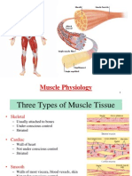 2015 Muscle Notes From Class-2