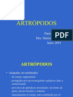 Artropodos