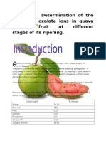 Determination of The Oxalate Ions in Guava Fruit at Different Stages of Its Ripening